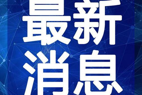 金海高中爆料事件视频最新,真相揭露，校园风云再起